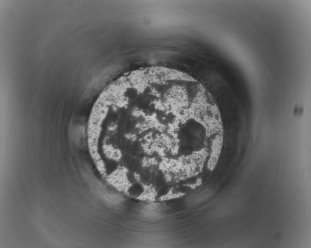 X0000111830527200908131549