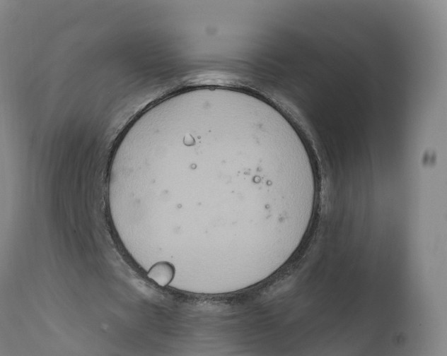 X0000111830529200908131548