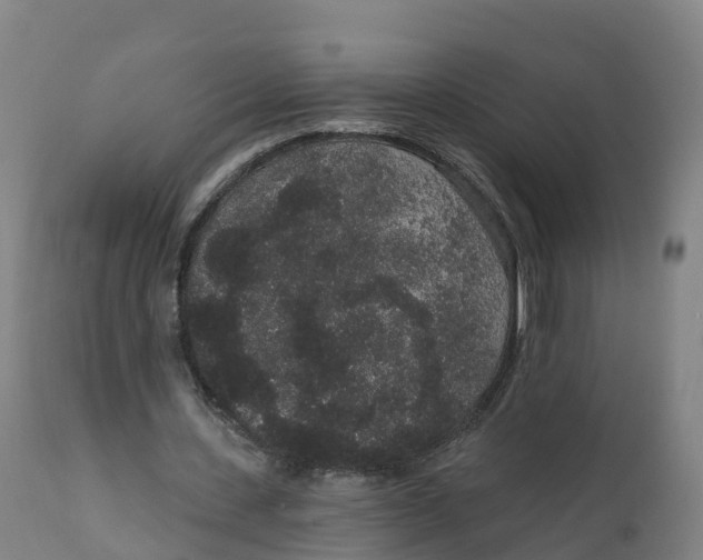 X0000111830531200908131548