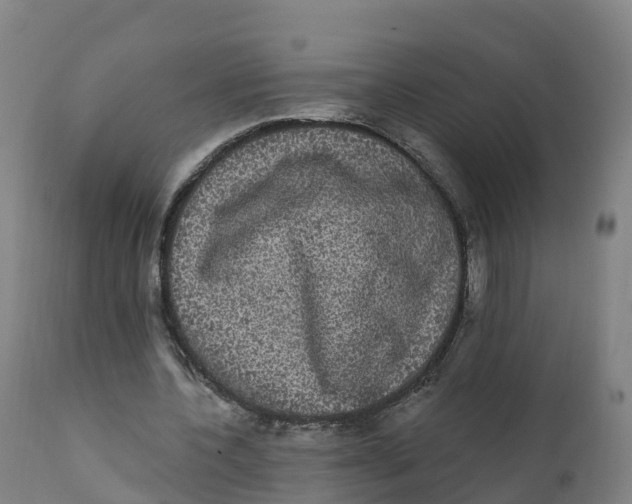 X0000111830532200908131548