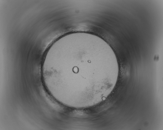 X0000111830534200908131548