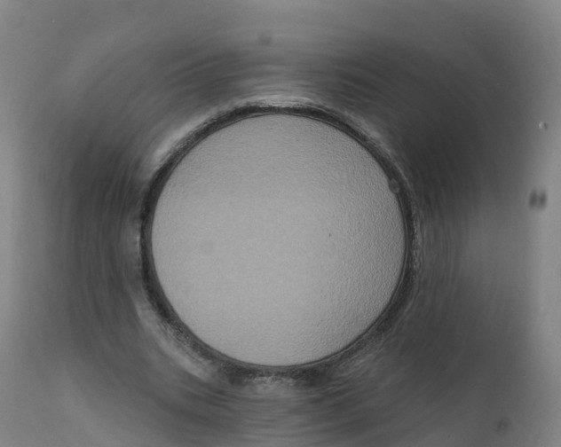 X0000111830535200908131548