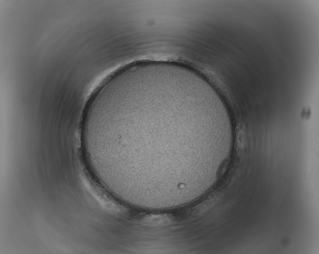 X0000111830536200908131549