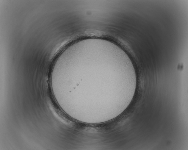 X0000111830538200908131549