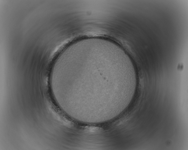 X0000111830539200908131549