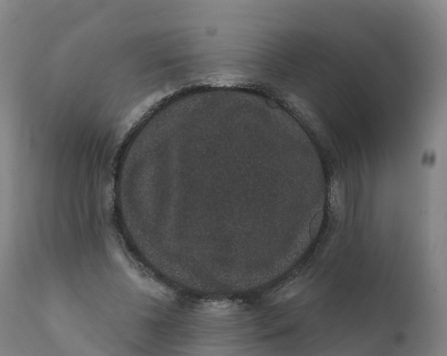 X0000111830540200908131549