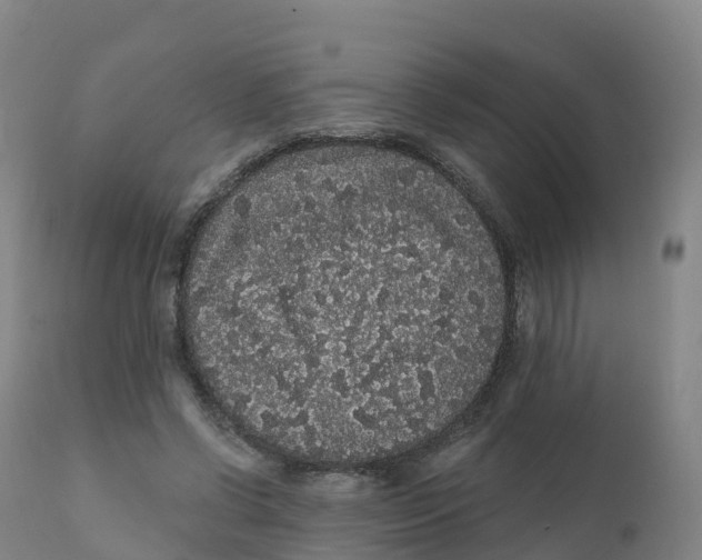 X0000111830542200908131549