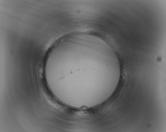 X0000111830544200908131549