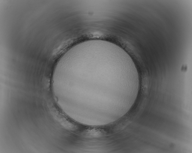 X0000111830545200908131549