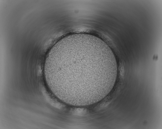 X0000111830546200908131549