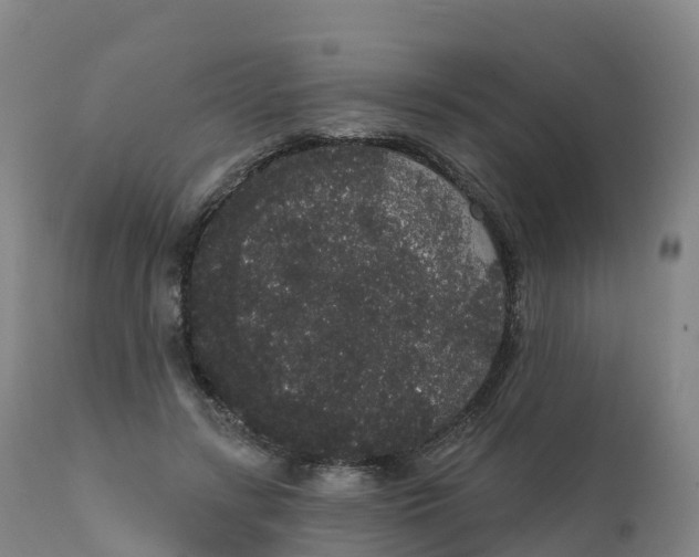 X0000111830547200908131549