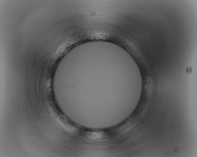 X0000111830548200908131549