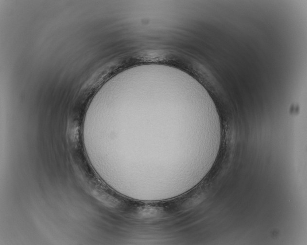 X0000111830549200908131549