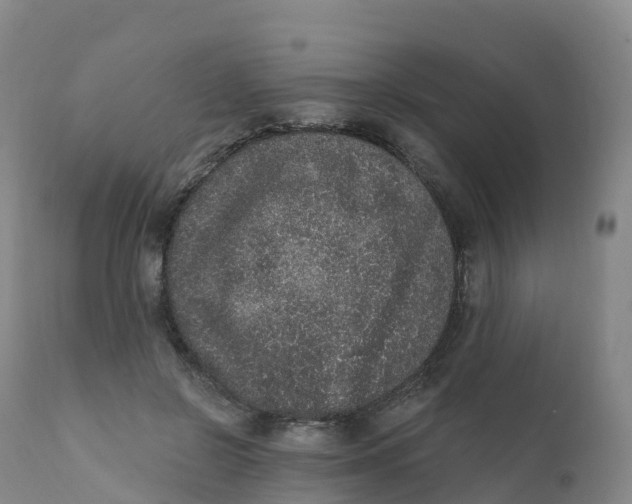 X0000111830550200908131549