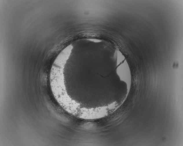 X0000111830551200908131549