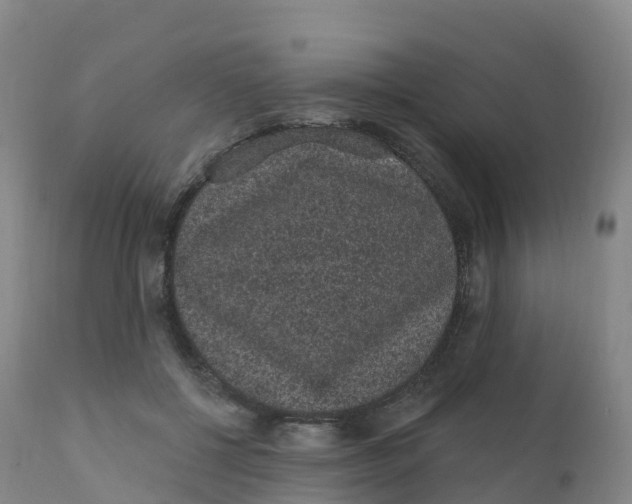 X0000111830552200908131549