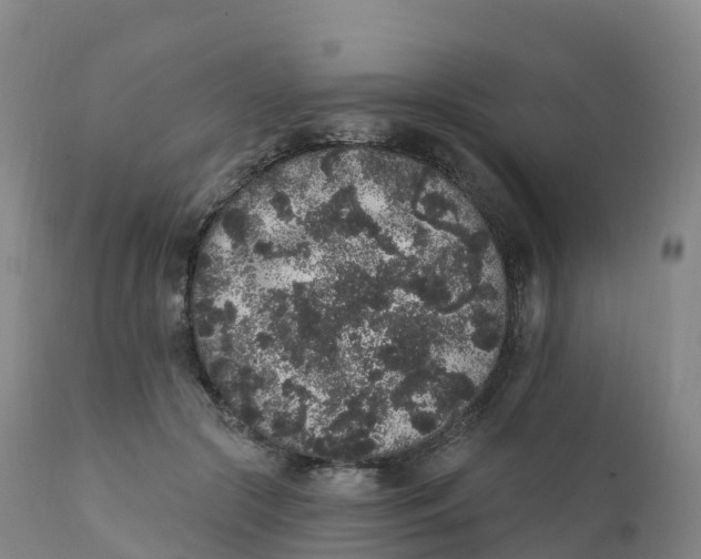 X0000111830553200908131549