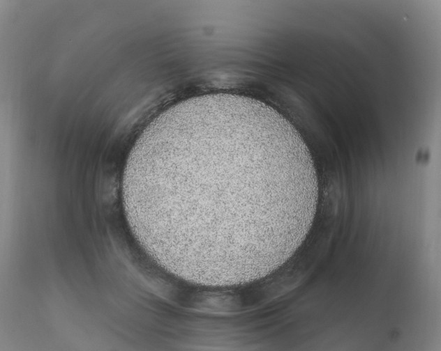 X0000111830555200908131549