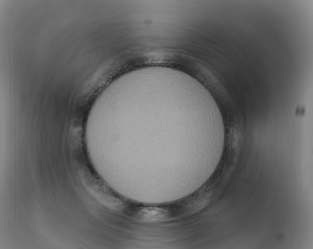 X0000111830557200908131549