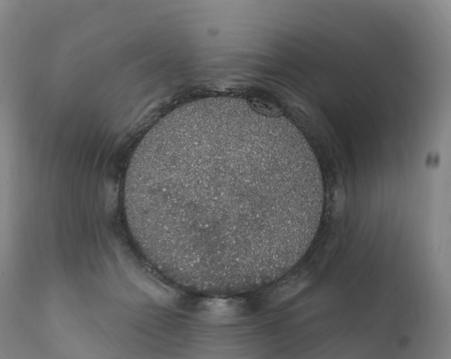 X0000111830558200908131549