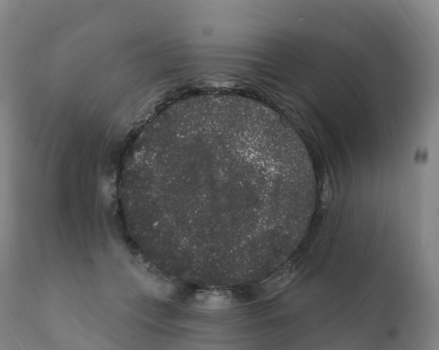 X0000111830559200908131549