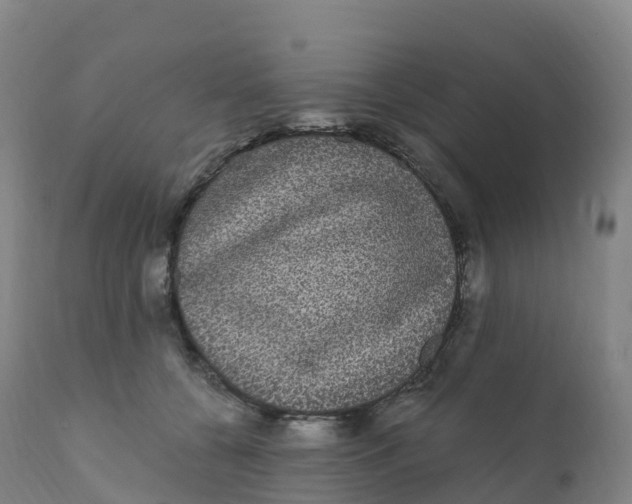 X0000111830560200908131549