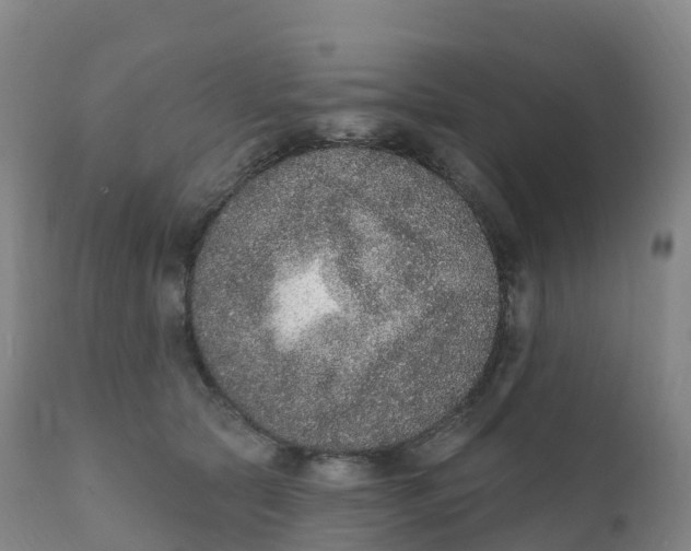 X0000111830561200908131549