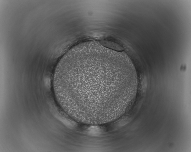 X0000111830562200908131549