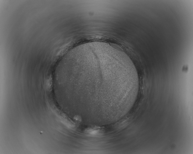 X0000111830563200908131549