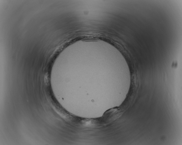 X0000111830564200908131549