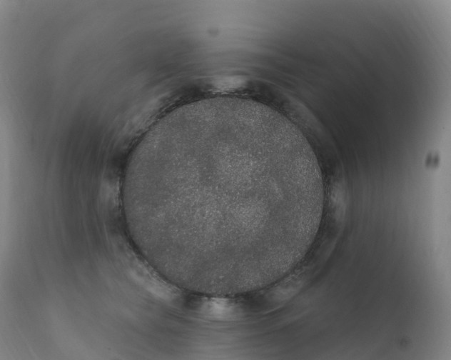 X0000111830565200908131549