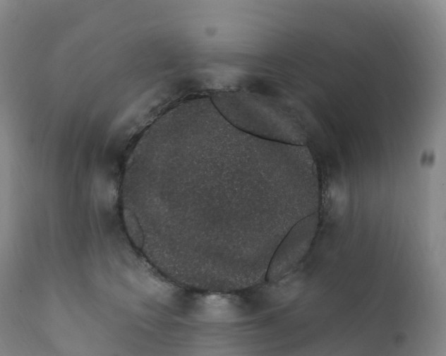 X0000111830566200908131549