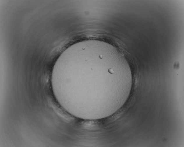 X0000111830567200908131549