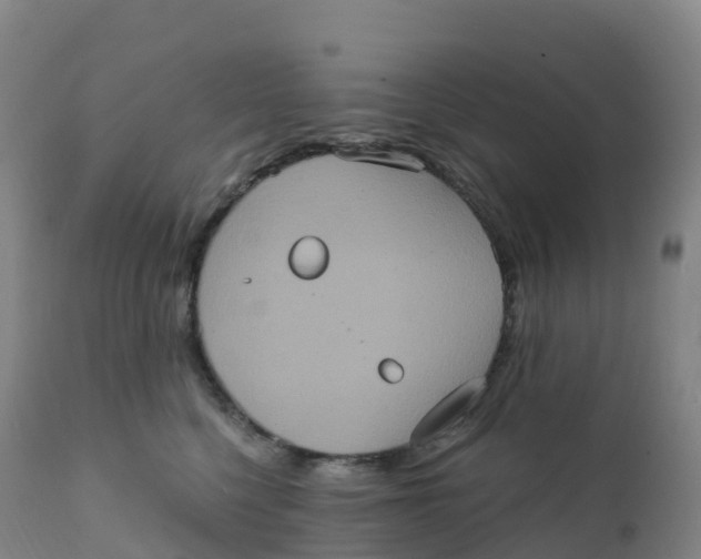 X0000111830568200908131549