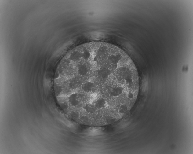 X0000111830569200908131549