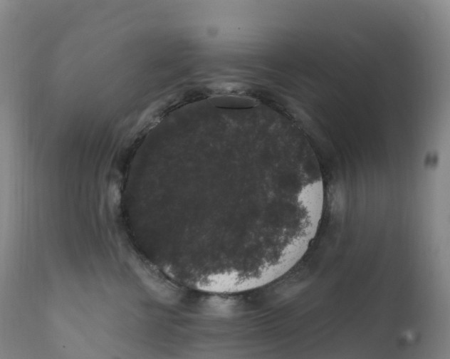 X0000111830570200908131549