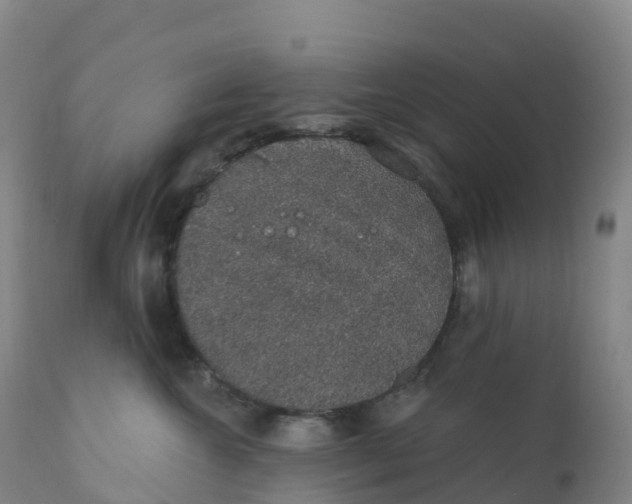 X0000111830572200908131549