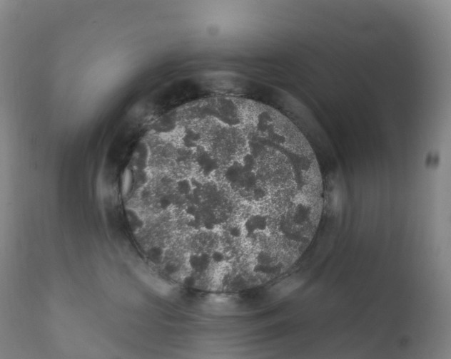 X0000111830573200908131549