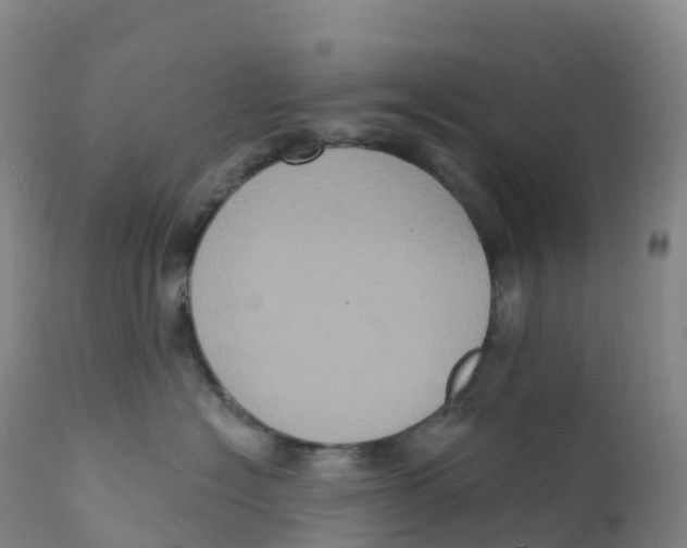 X0000111830574200908131549