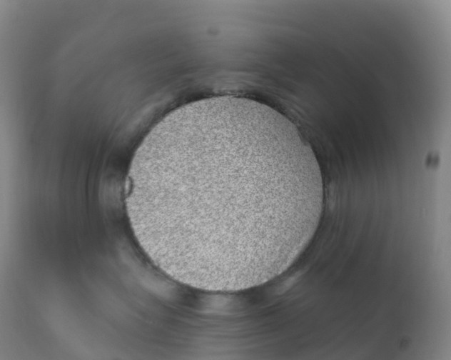 X0000111830575200908131549