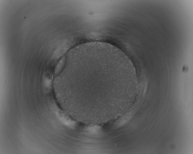 X0000111830576200908131549