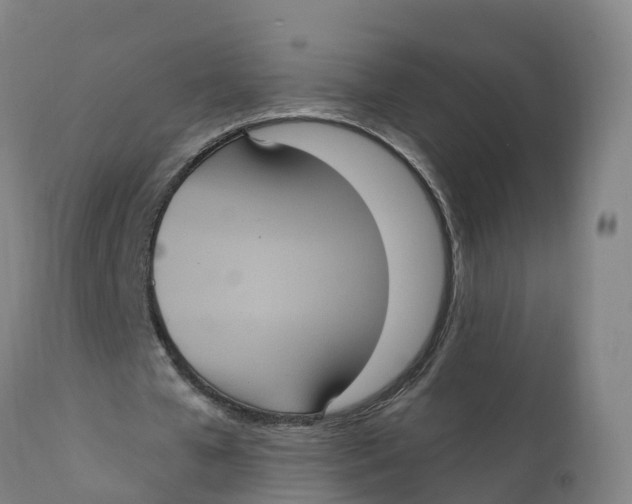 X0000111830577200908131548