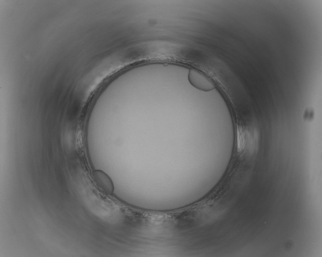 X0000111830579200908131548