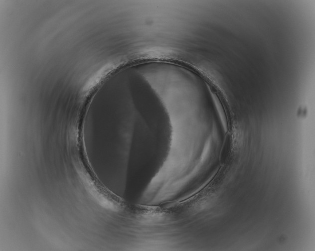 X0000111830581200908131548