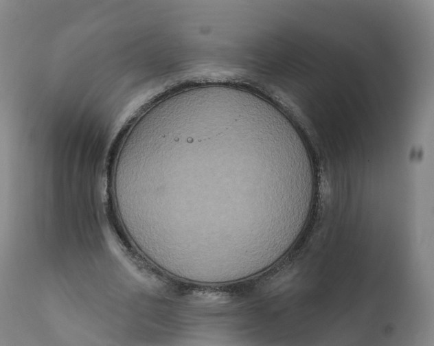 X0000111830582200908131548