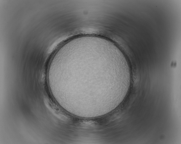 X0000111830583200908131548