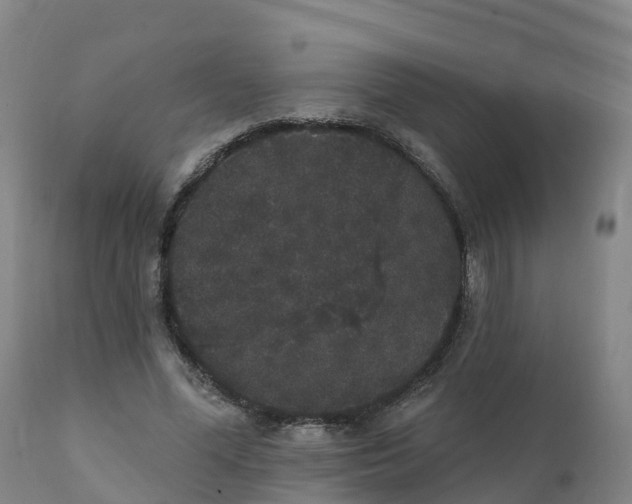 X0000111830588200908131548