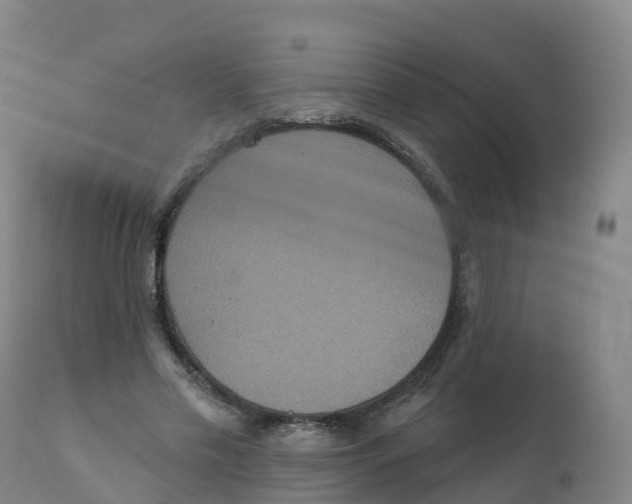 X0000111830589200908131548