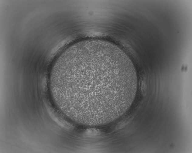 X0000111830591200908131548