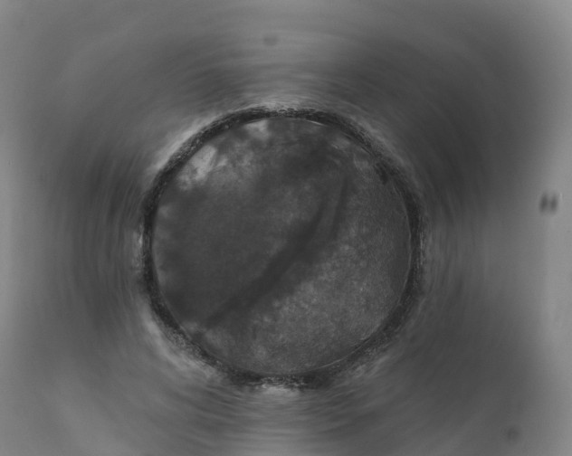 X0000111830592200908131548